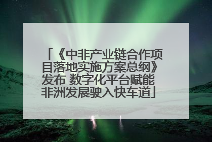 《中非产业链合作项目落地实施方案总纲》发布 数字化平台赋能非洲发展驶入快车道