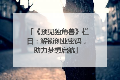 《预见独角兽》栏目：解锁创业密码，助力梦想启航