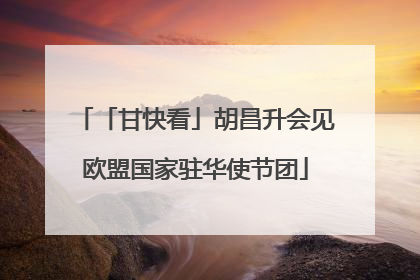 「甘快看」胡昌升会见欧盟国家驻华使节团