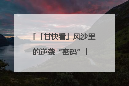 「甘快看」风沙里的逆袭“密码”