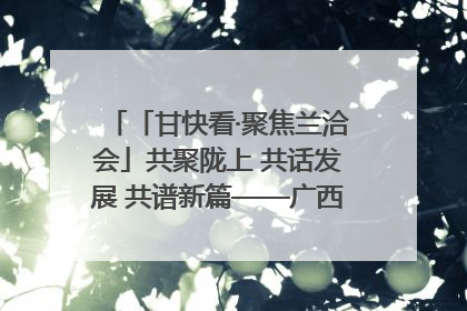 「甘快看·聚焦兰洽会」共聚陇上 共话发展 共谱新篇——广西贵州重点企业“请进来”招商推介会扫描