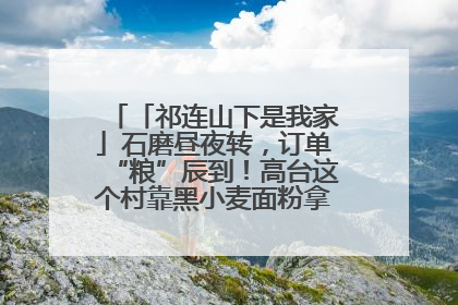 「祁连山下是我家」石磨昼夜转，订单“粮”辰到！高台这个村靠黑小麦面粉拿下成立来最大订单