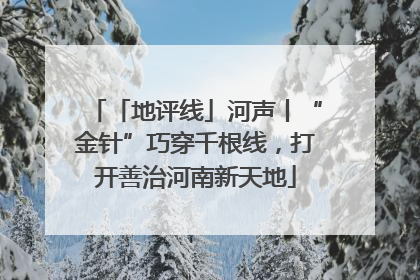 「地评线」河声丨“金针”巧穿千根线，打开善治河南新天地