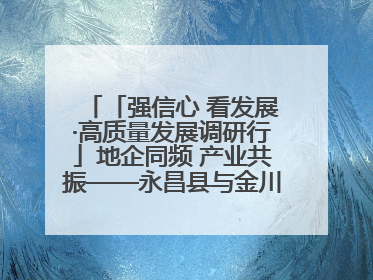 「强信心 看发展·高质量发展调研行」地企同频 产业共振——永昌县与金川集团地企融合推动重大项目建设