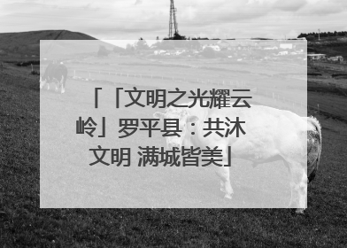 「文明之光耀云岭」罗平县：共沐文明 满城皆美