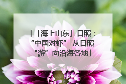 「海上山东」日照：“中国对虾” 从日照“游”向沿海各地