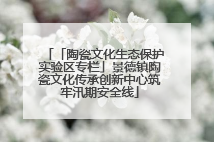 「陶瓷文化生态保护实验区专栏」景德镇陶瓷文化传承创新中心筑牢汛期安全线