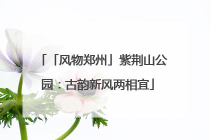「风物郑州」紫荆山公园：古韵新风两相宜