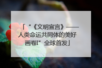 “《文明宣言》——人类命运共同体的美好画卷I”全球首发