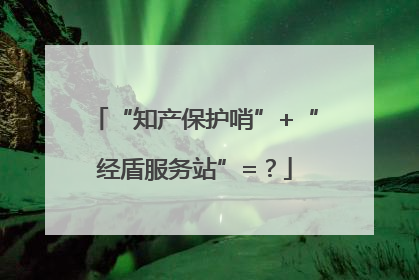 “知产保护哨”+“经盾服务站”=？