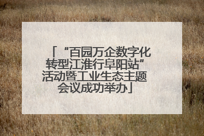 “百园万企数字化转型江淮行阜阳站”活动暨工业生态主题会议成功举办