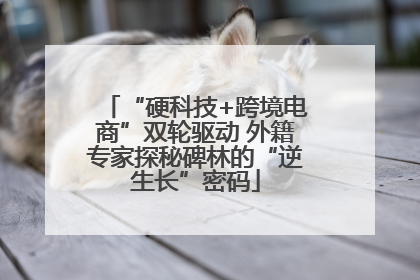 “硬科技+跨境电商”双轮驱动 外籍专家探秘碑林的“逆生长”密码