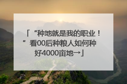 “种地就是我的职业！”看00后种粮人如何种好4000亩地→