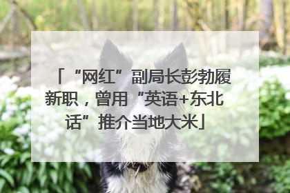 “网红”副局长彭勃履新职，曾用“英语+东北话”推介当地大米