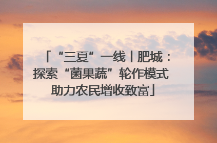 “三夏”一线丨肥城：探索“菌果蔬”轮作模式 助力农民增收致富