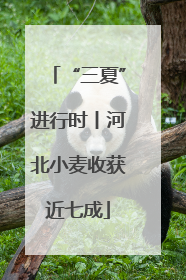 “三夏”进行时丨河北小麦收获近七成