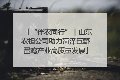 “伴农同行”｜山东农担公司助力菏泽巨野蛋鸡产业高质量发展