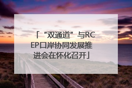“双通道”与RCEP口岸协同发展推进会在怀化召开