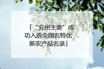 “兖州生姜”成功入选全国名特优新农产品名录
