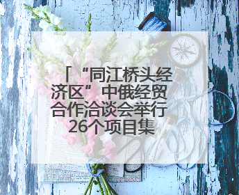 “同江桥头经济区”中俄经贸合作洽谈会举行 26个项目集中签约