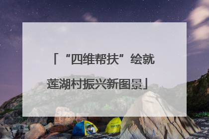 “四维帮扶”绘就莲湖村振兴新图景