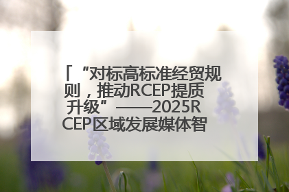 “对标高标准经贸规则，推动RCEP提质升级”——2025RCEP区域发展媒体智库论坛举行专题对话