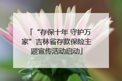 “存保十年 守护万家”吉林省存款保险主题宣传活动启动