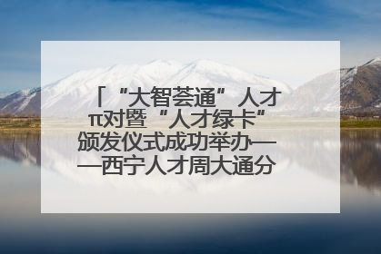 “大智荟通”人才π对暨“人才绿卡”颁发仪式成功举办——西宁人才周大通分会场亮点纷呈