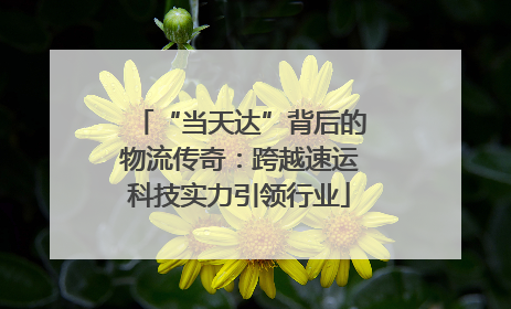 “当天达”背后的物流传奇：跨越速运科技实力引领行业