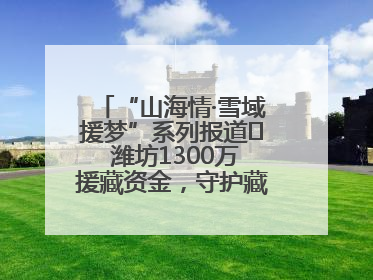 “山海情·雪域援梦”系列报道⑪ 潍坊1300万援藏资金，守护藏区群众健康“最后一公里”