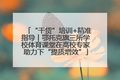 “干货”培训+精准指导丨鄂托克旗三所学校体育课堂在高校专家助力下“提质增效”