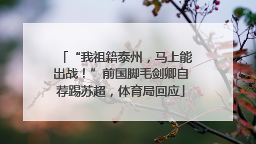 “我祖籍泰州，马上能出战！”前国脚毛剑卿自荐踢苏超，体育局回应