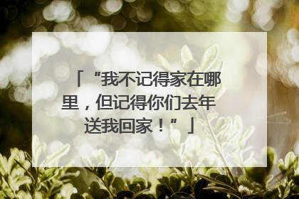 “我不记得家在哪里，但记得你们去年送我回家！”