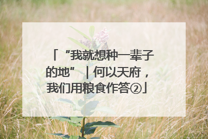 “我就想种一辈子的地”｜何以天府，我们用粮食作答②