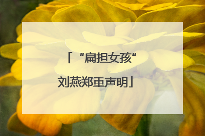 “扁担女孩”刘燕郑重声明