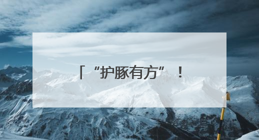 “护豚有方”！厦门这群人组成了一支“海上大熊猫”守护者联盟