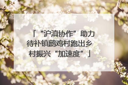 “沪滇协作”助力待补镇鹧鸡村跑出乡村振兴“加速度”
