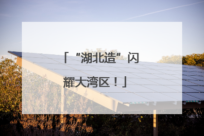 “湖北造”闪耀大湾区！