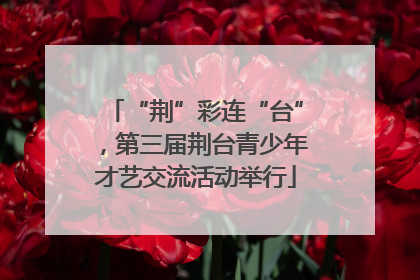 “荆”彩连“台”，第三届荆台青少年才艺交流活动举行