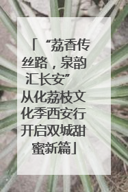 “荔香传丝路，泉韵汇长安” 从化荔枝文化季西安行开启双城甜蜜新篇