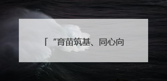 “育苗筑基、同心向党”民族团结进校园