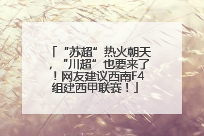 “苏超”热火朝天，“川超”也要来了！网友建议西南F4组建西甲联赛！
