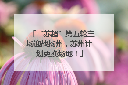 “苏超”第五轮主场迎战扬州，苏州计划更换场地！