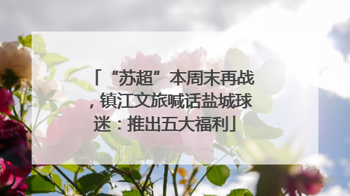 “苏超”本周末再战，镇江文旅喊话盐城球迷：推出五大福利