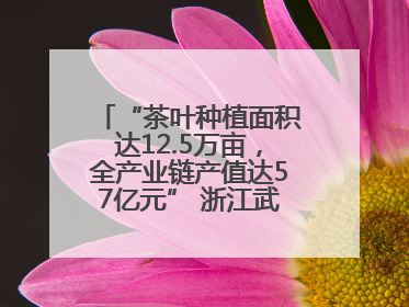 “茶叶种植面积达12.5万亩，全产业链产值达57亿元” 浙江武义茶产业全链发展“加速度”