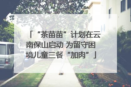 “茶苗苗”计划在云南保山启动 为留守困境儿童三餐“加肉”