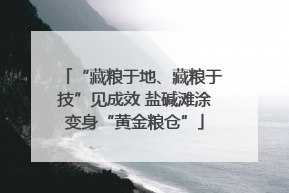 “藏粮于地、藏粮于技”见成效 盐碱滩涂变身“黄金粮仓”