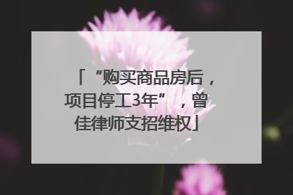 “购买商品房后，项目停工3年”，曾佳律师支招维权
