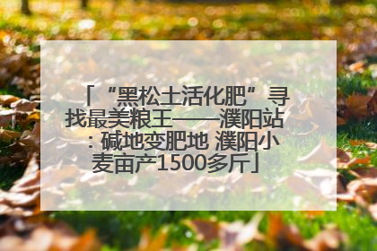 “黑松土活化肥”寻找最美粮王——濮阳站：碱地变肥地 濮阳小麦亩产1500多斤