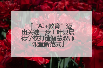 “AI+教育”迈出关键一步！叶县晨德学校打造智慧双师课堂新范式